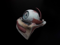 https://davidcamargo.xyz/files/dimgs/thumb_2x200_11_18_27.jpg